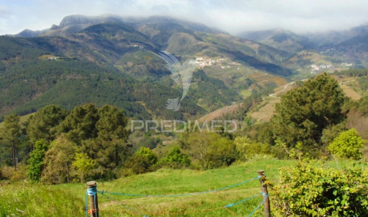Terreno para Venda em Torgueda Foto 10