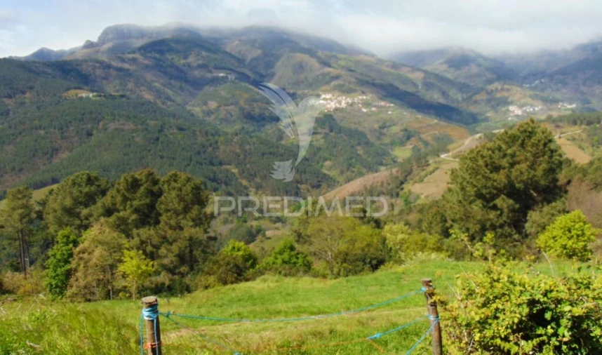 Terreno para Venda em Torgueda Foto 10