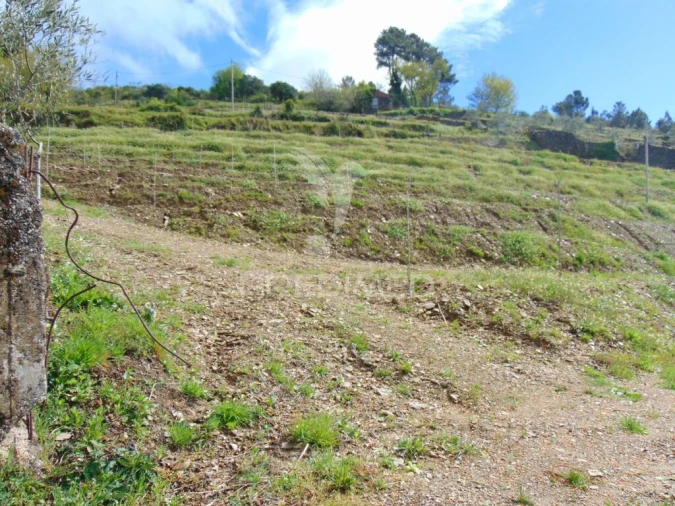 Terreno para Venda em Torgueda Foto 5