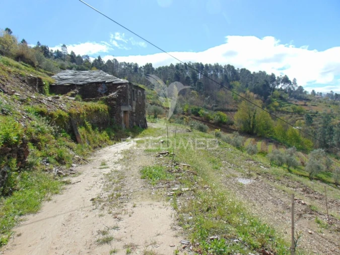 Terreno para Venda em Torgueda Foto 9