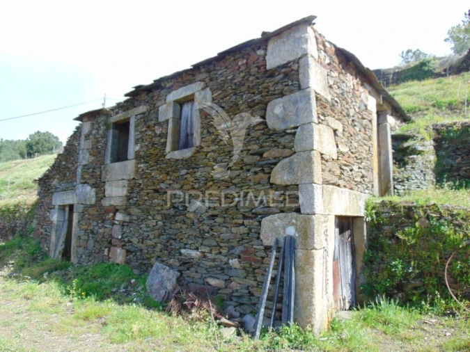 Terreno para Venda em Torgueda