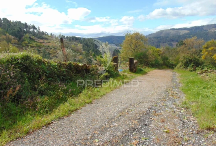 Terreno para Venda em Torgueda Foto 3