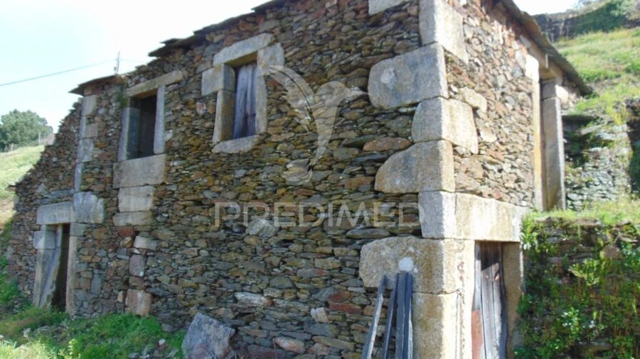 Terreno para Venda em Torgueda