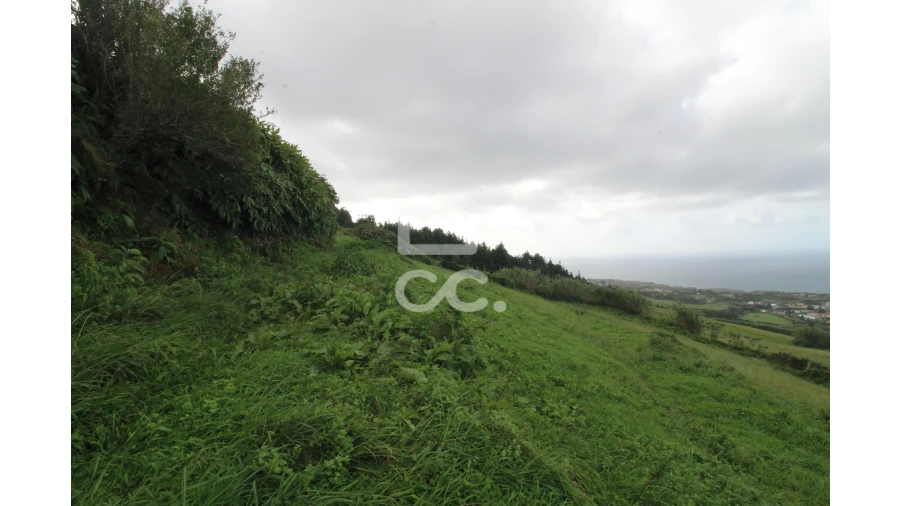 Terreno para Venda em Ginetes Foto 13