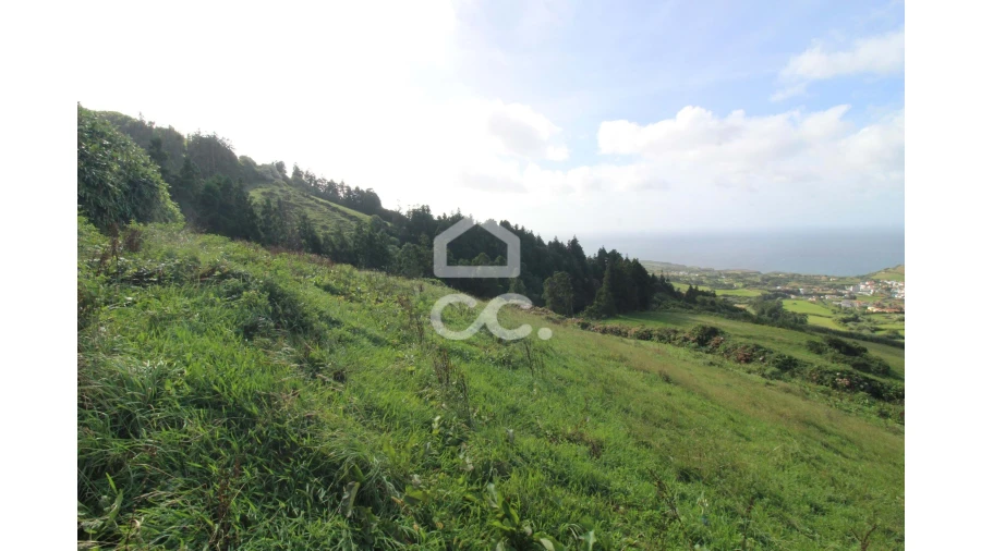 Terreno para Venda em Ginetes Foto 8