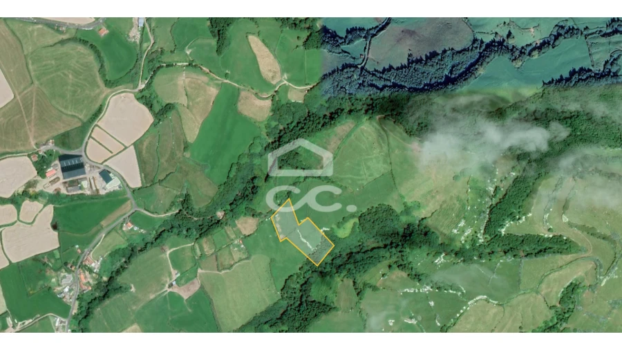 Terreno para Venda em Ginetes Foto 14