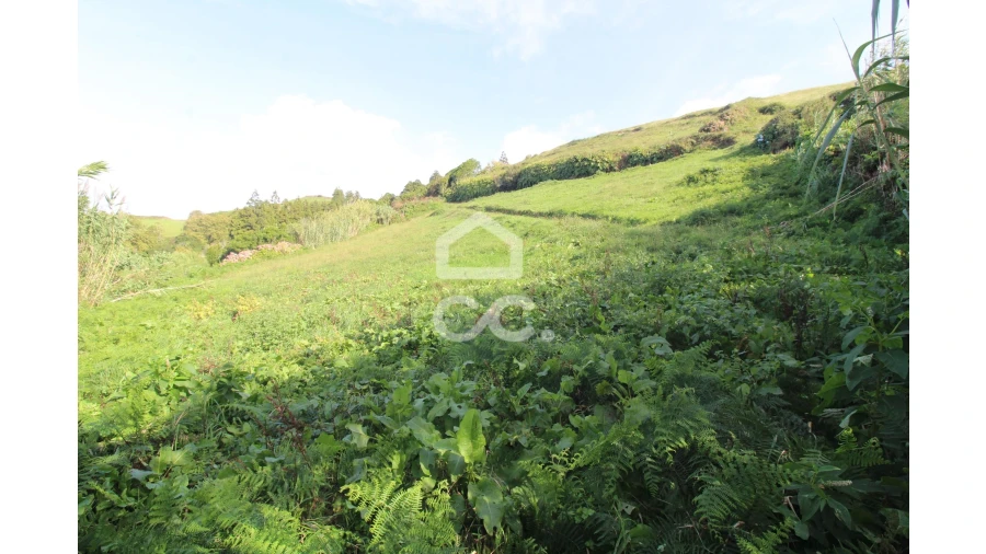 Terreno para Venda em Ginetes Foto 4
