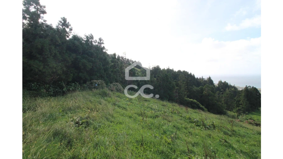 Terreno para Venda em Ginetes Foto 10