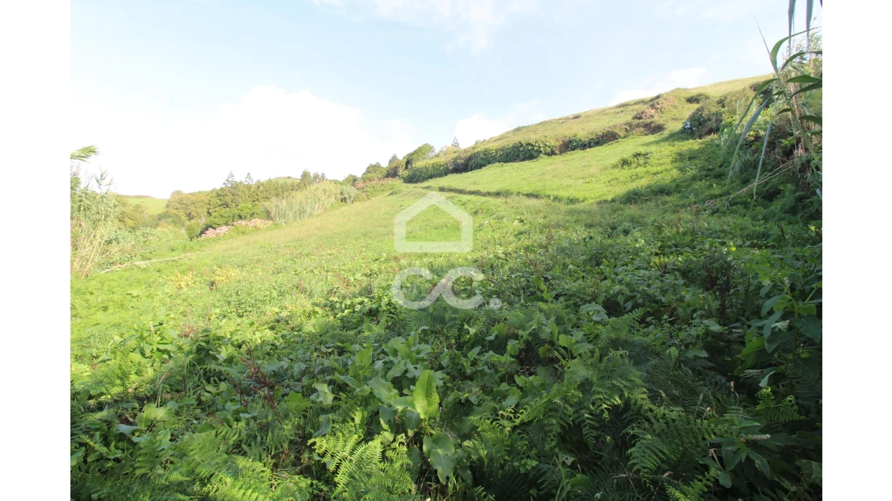 Terreno para Venda em Ginetes Foto 4