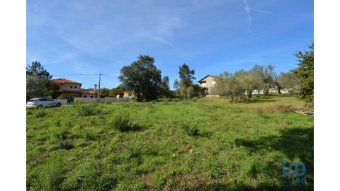 Moradia para Venda em Miranda do Corvo