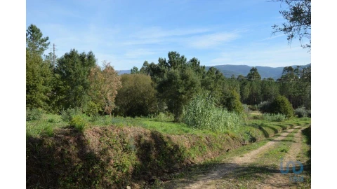 Moradia para Venda em Miranda do Corvo