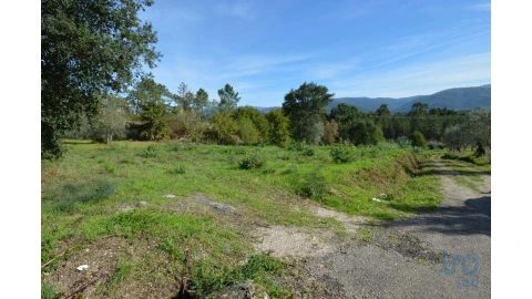 Moradia para Venda em Miranda do Corvo