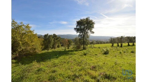 Moradia para Venda em Miranda do Corvo