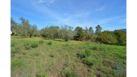 Moradia para Venda em Miranda do Corvo