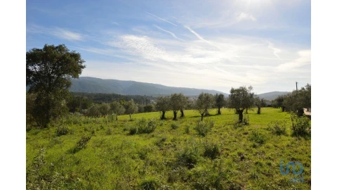 Moradia para Venda em Miranda do Corvo