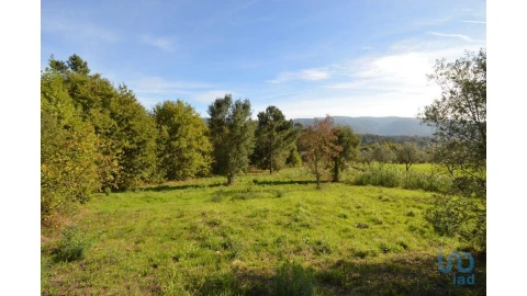 Moradia para Venda em Miranda do Corvo