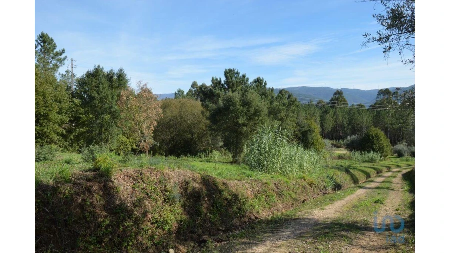 Moradia para Venda em Miranda do Corvo Foto 10