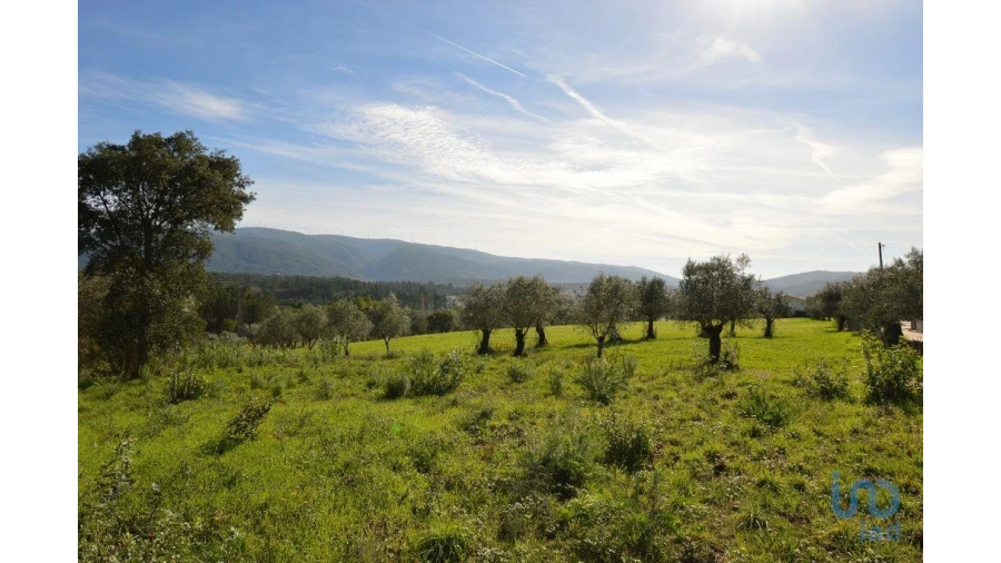 Moradia para Venda em Miranda do Corvo Foto 6