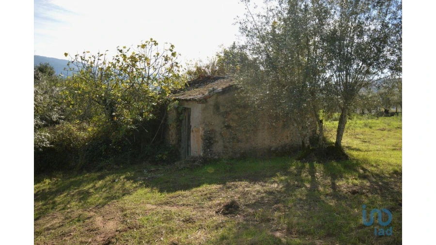 Moradia para Venda em Miranda do Corvo Foto 4