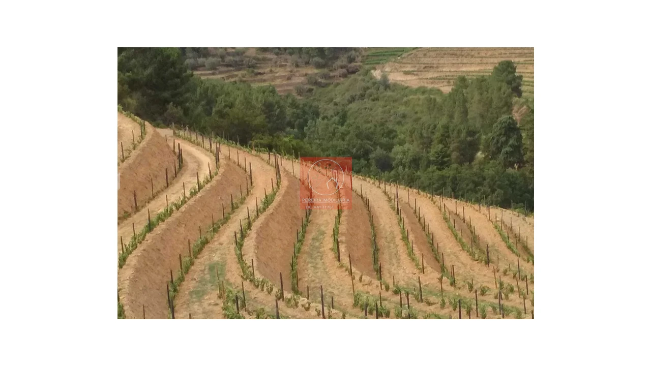 Quinta para Venda em Pinhão Foto 2