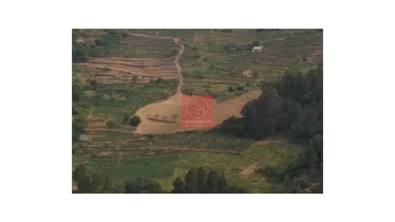 Quinta para Venda em Pinhão Foto 7