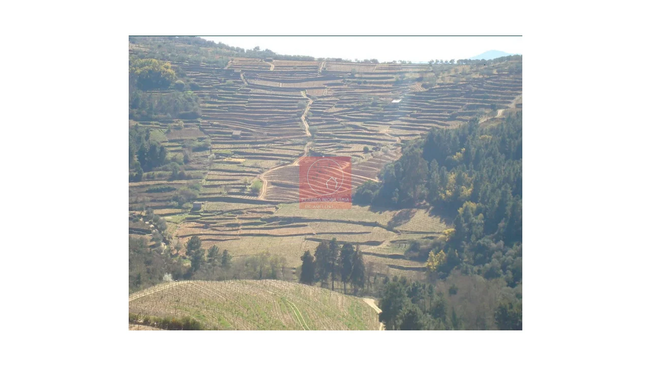 Quinta para Venda em Pinhão Foto 8