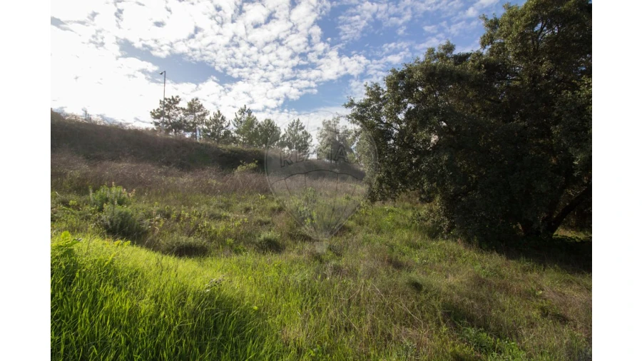 Terreno para Venda em Ota Foto 3