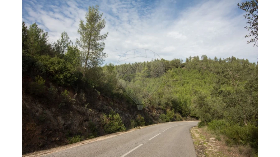 Terreno para Venda em Ota Foto 8