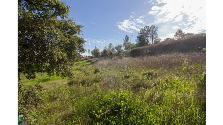 Terreno para Venda em Ota Foto 22