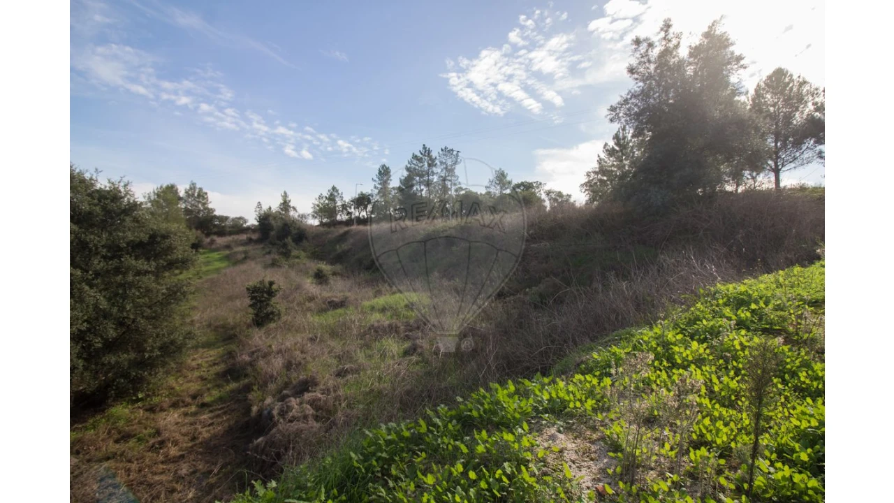 Terreno para Venda em Ota Foto 21