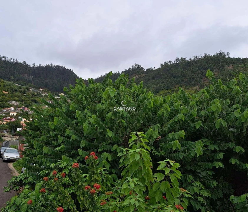 Terreno para Venda em Arco da Calheta Foto 7