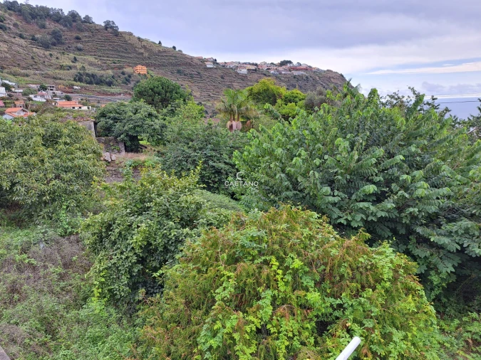 Terreno para Venda em Arco da Calheta Foto 5