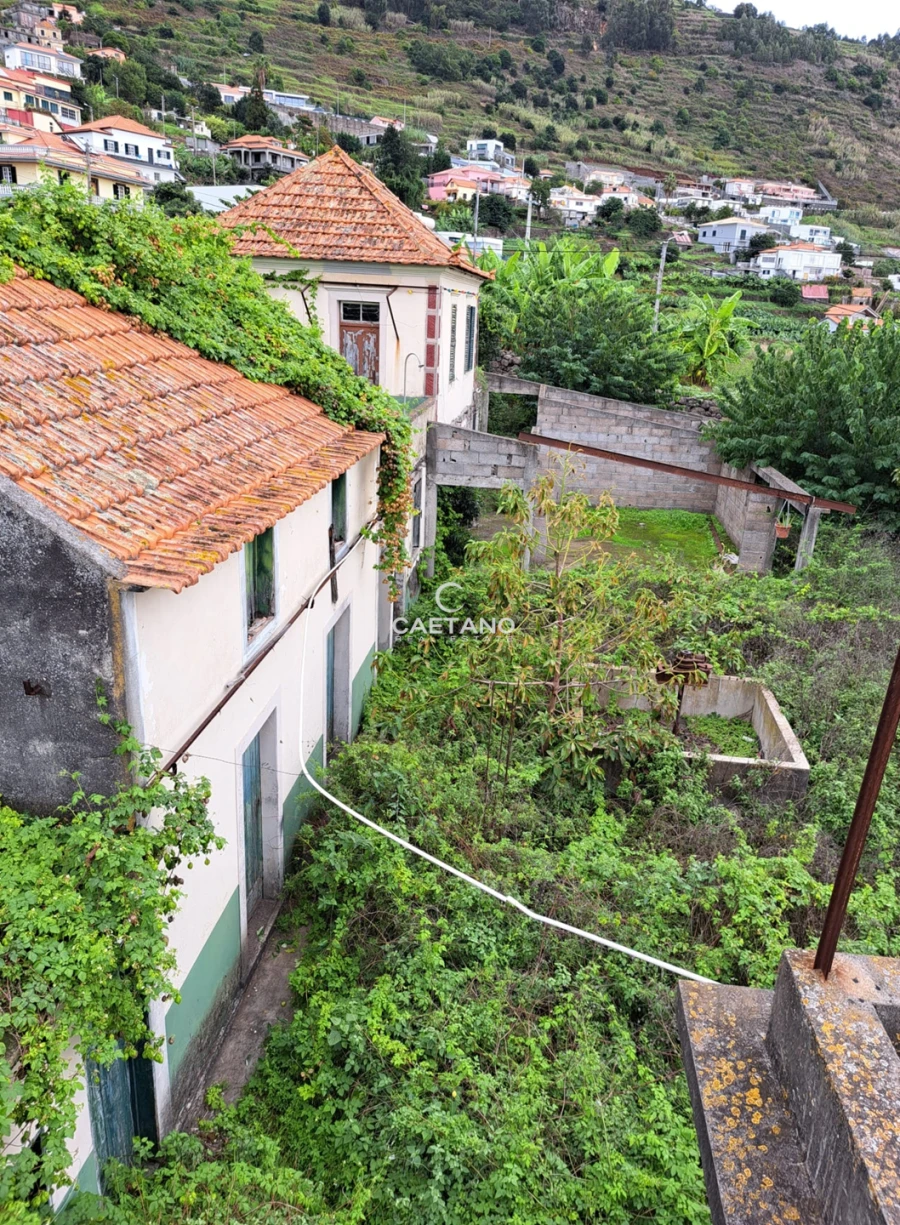 Terreno para Venda em Arco da Calheta Foto 11