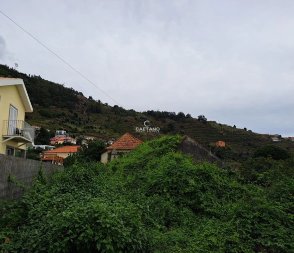 Terreno para Venda em Arco da Calheta Foto 14
