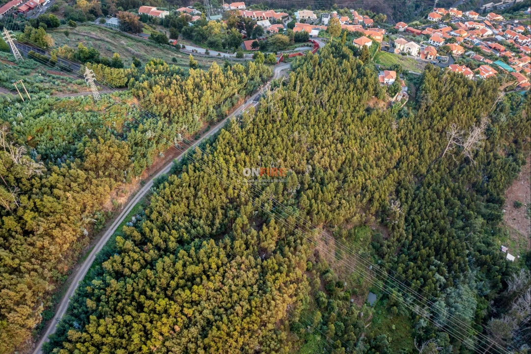 Terreno para Venda em São Roque Foto 5
