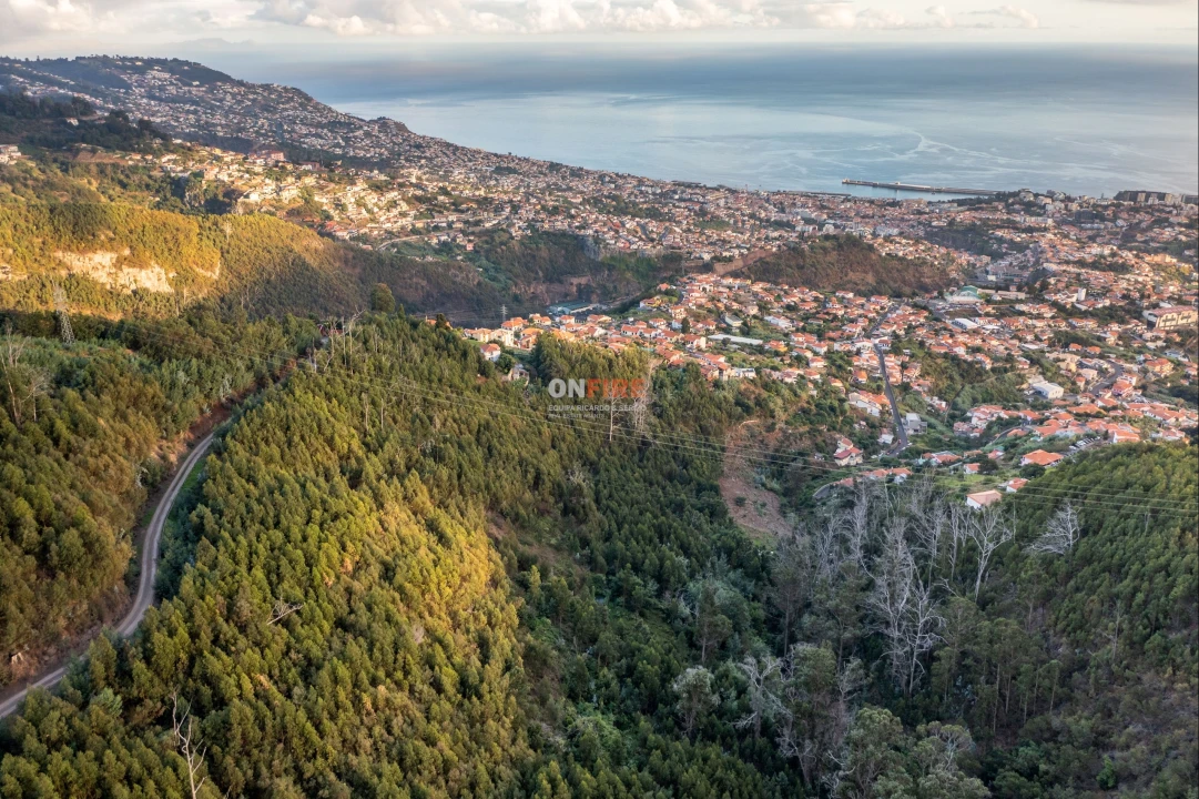 Terreno para Venda em São Roque Foto 2