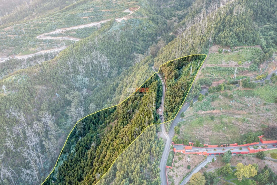Terreno para Venda em São Roque Foto 9
