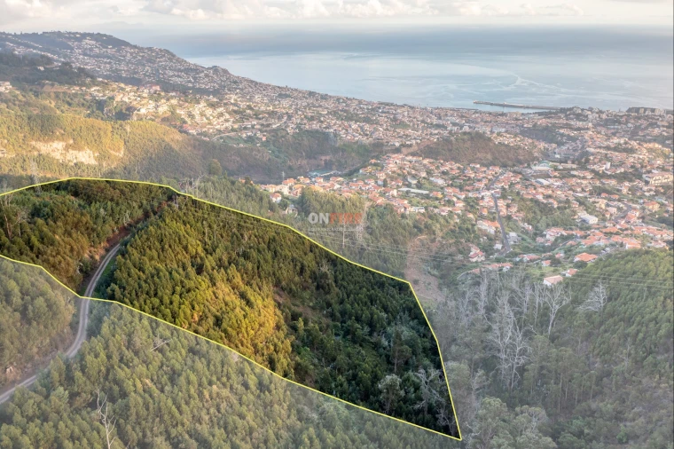 Terreno para Venda em São Roque Foto 1