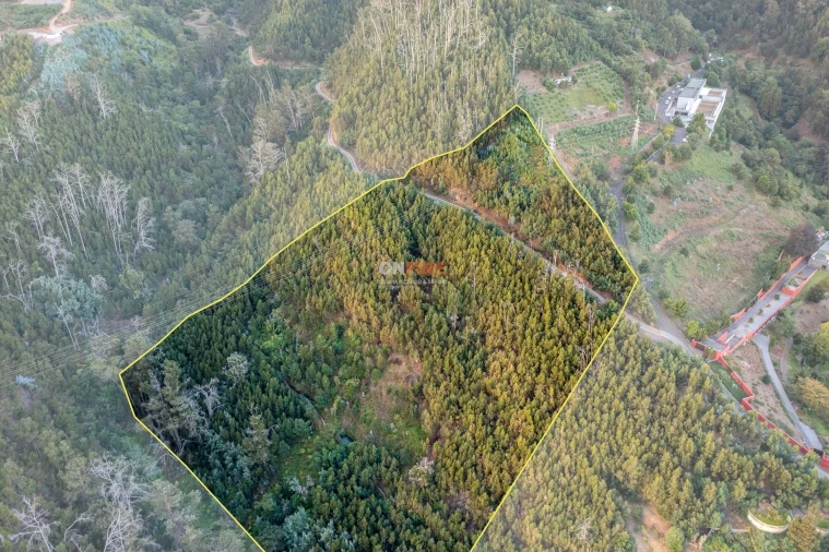 Terreno para Venda em São Roque Foto 7