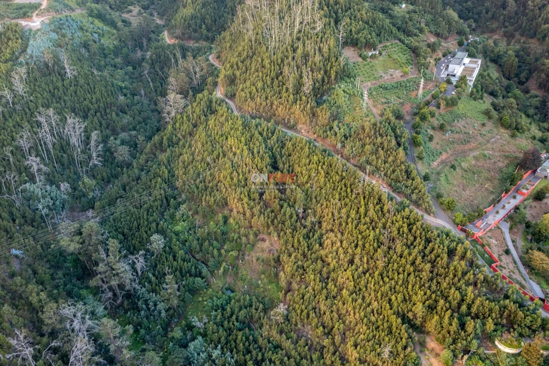 Terreno para Venda em São Roque Foto 6