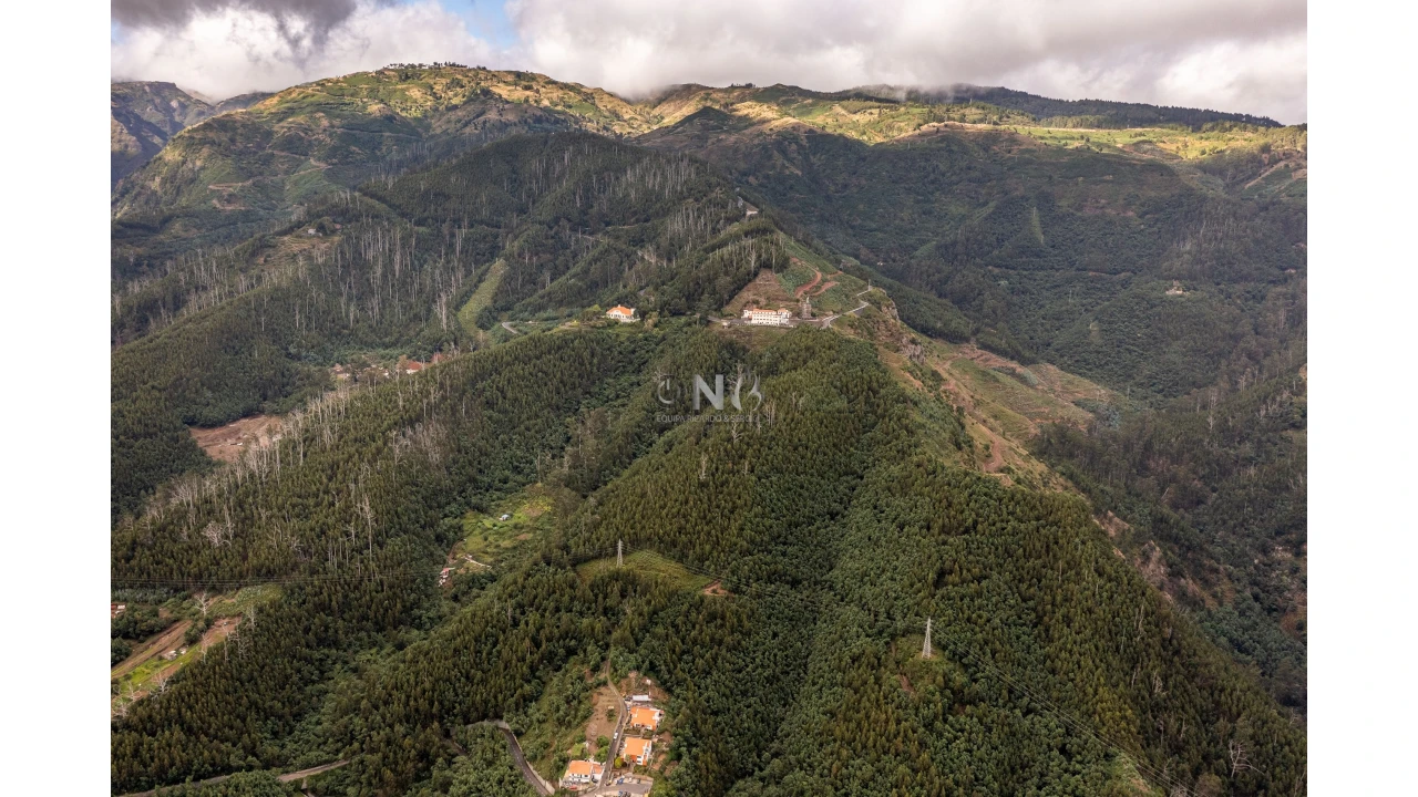 Terreno para Venda em Monte Foto 5