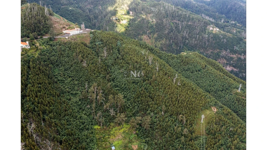 Terreno para Venda em Monte Foto 8