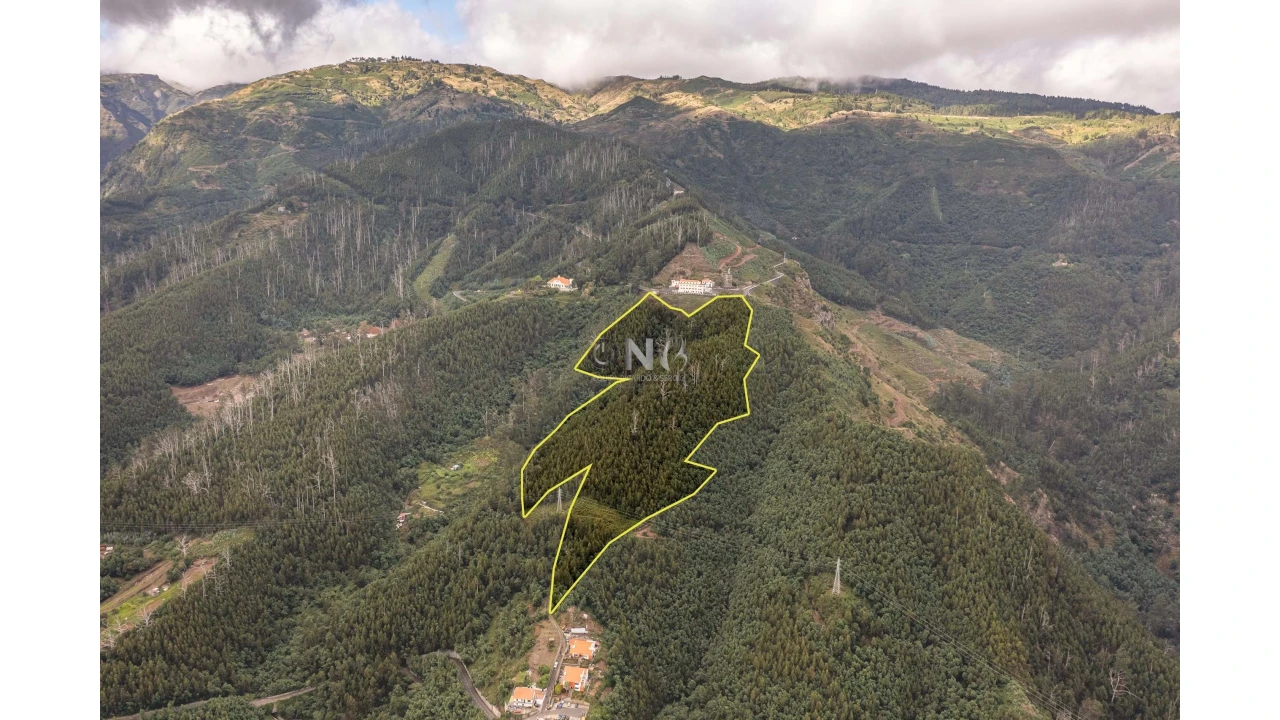 Terreno para Venda em Monte Foto 2