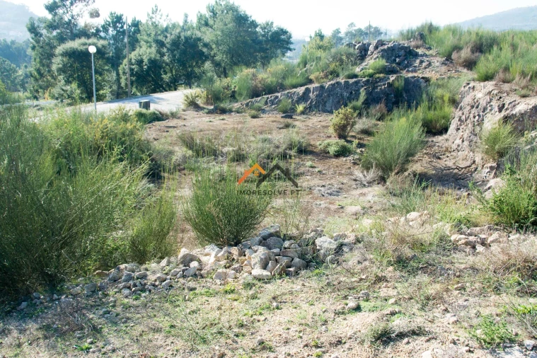 Terreno para Venda em Santa Maria Maior e Monserrate e Meadela Foto 5