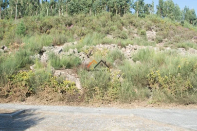 Terreno para Venda em Santa Maria Maior e Monserrate e Meadela