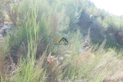 Terreno para Venda em Santa Maria Maior e Monserrate e Meadela