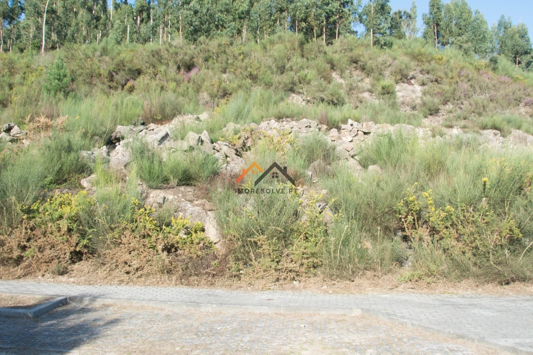 Terreno para Venda em Santa Maria Maior e Monserrate e Meadela Foto 1