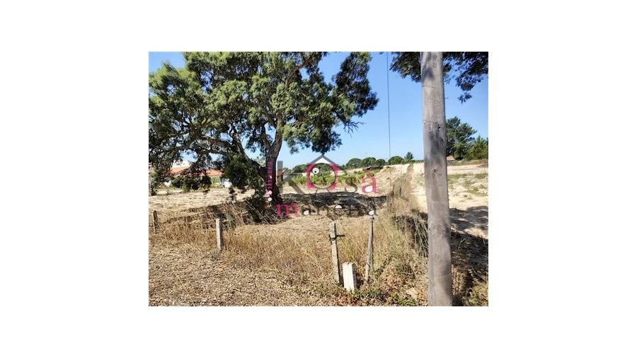 Quinta T3 para Venda em Melides Foto 9