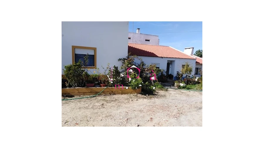 Quinta T3 para Venda em Melides Foto 6