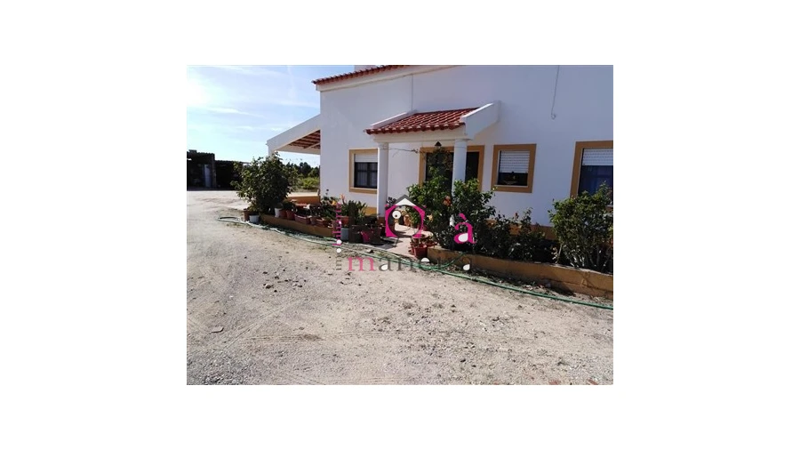 Quinta T3 para Venda em Melides Foto 1